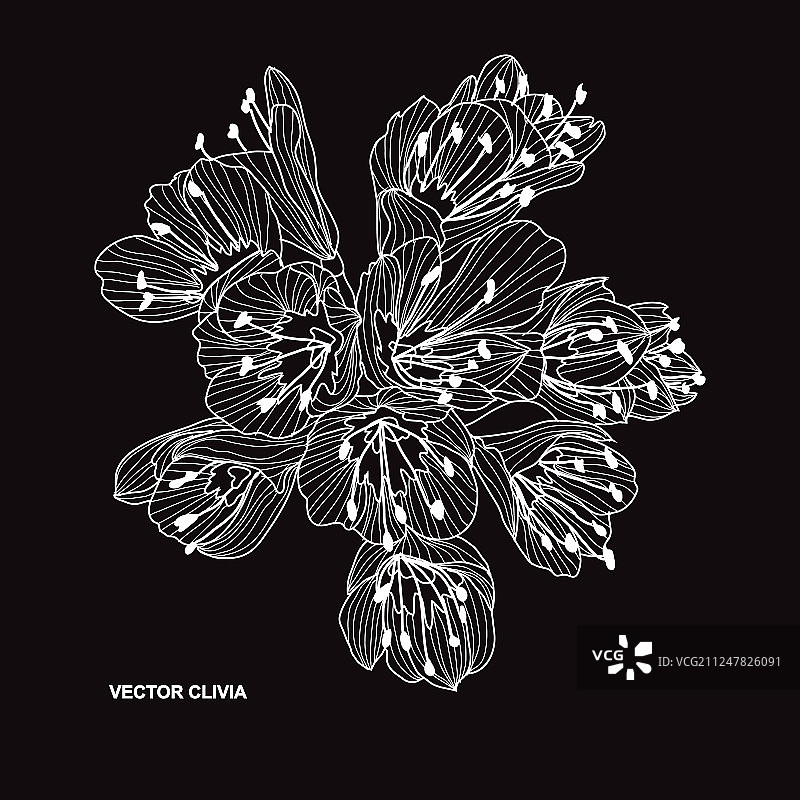 手绘花卉装饰图片素材