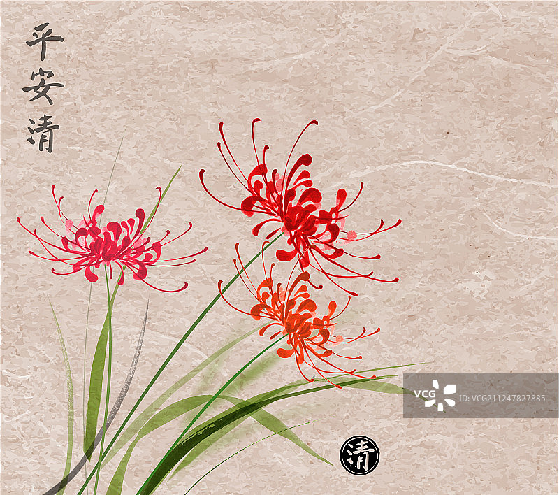 复古纸上的三朵红色菊花图片素材