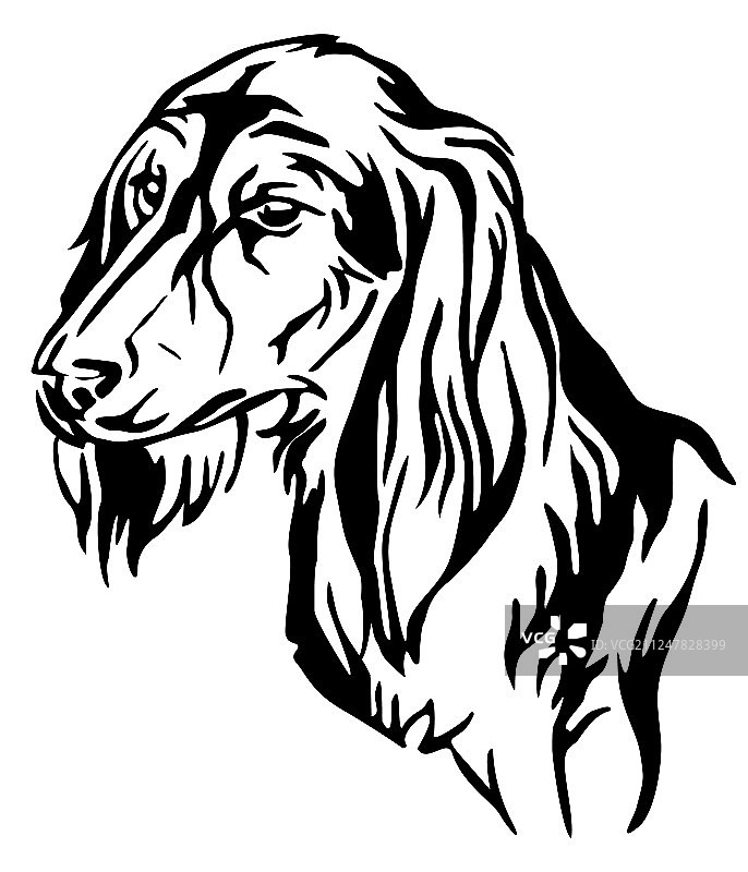 萨路基犬装饰肖像图片素材