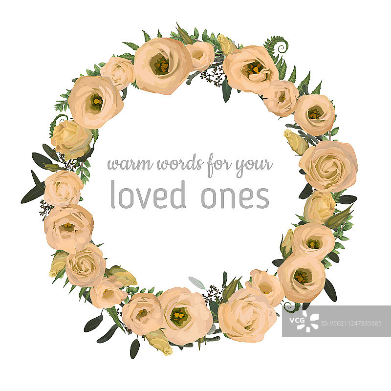 桉树布鲁尼亚蕨类叶子花卉卡片图片素材