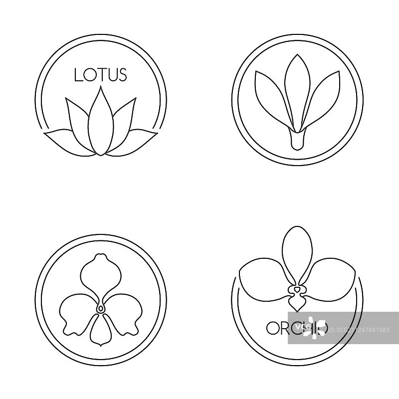 白色背景上的花朵logo合集图片素材