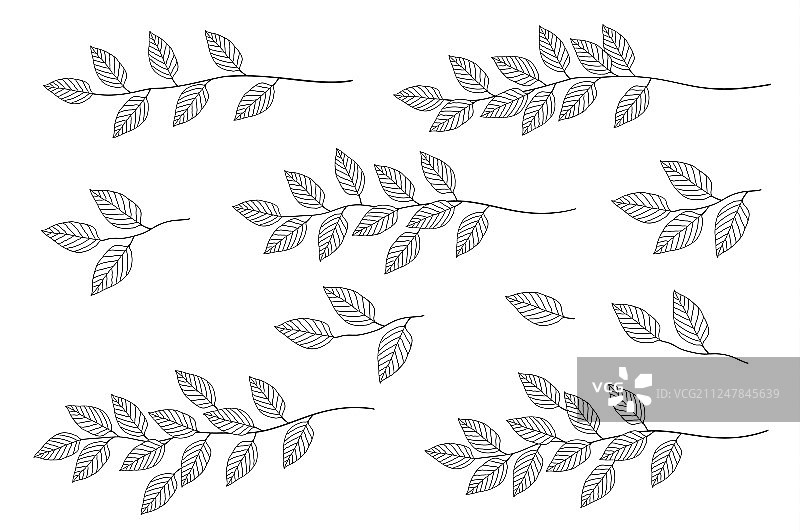 树叶树枝素材合集图片素材