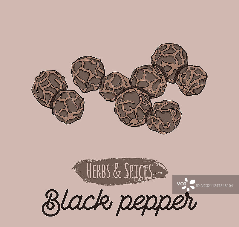 手绘彩色香草和香料黑胡椒图片素材