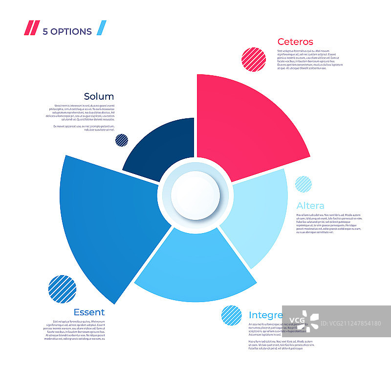 包含5个部分的饼状图概念模板图片素材