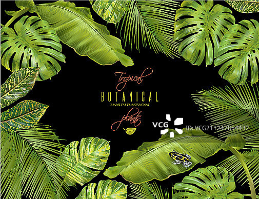 热带banner图片素材