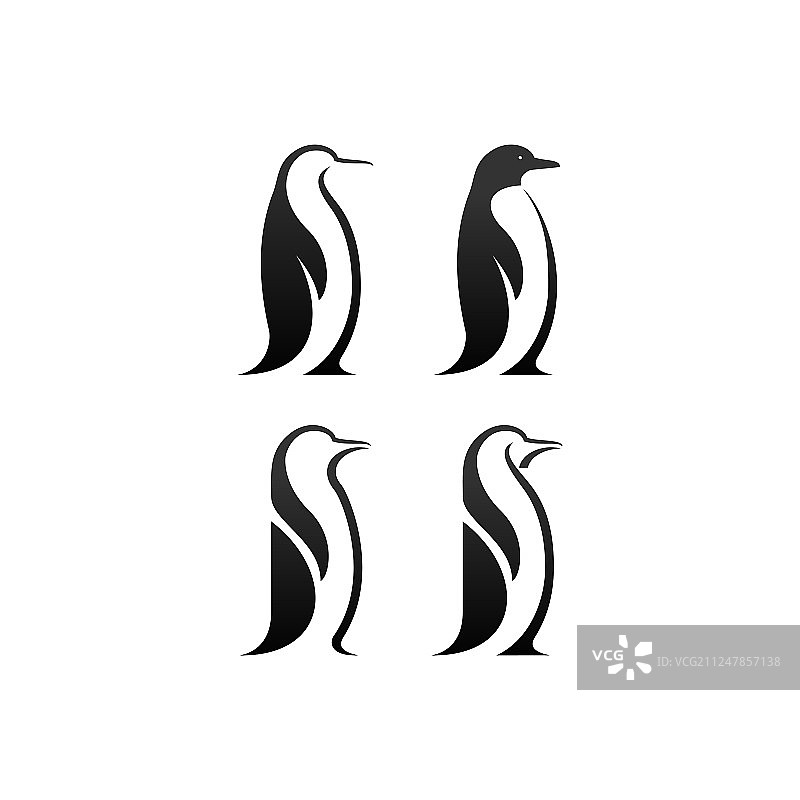 企鹅图片素材
