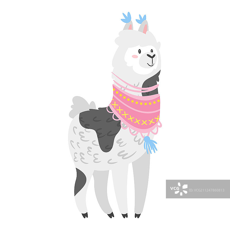 可爱美洲驼羊图片素材