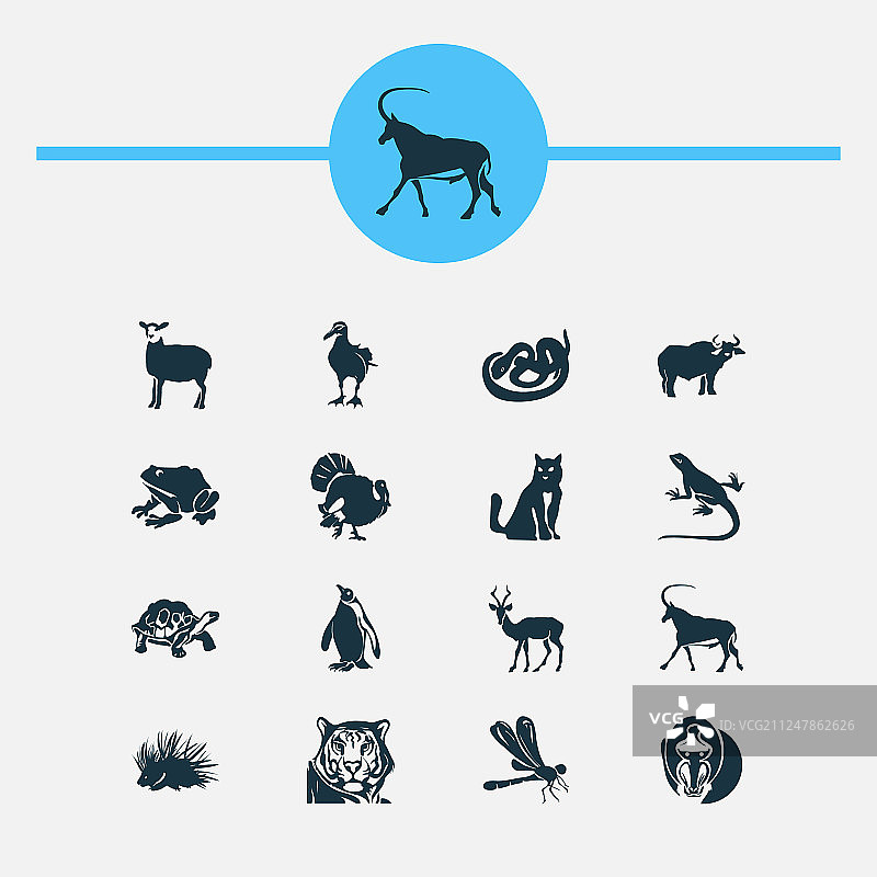 企鹅蛇火鸡动物图标合集图片素材