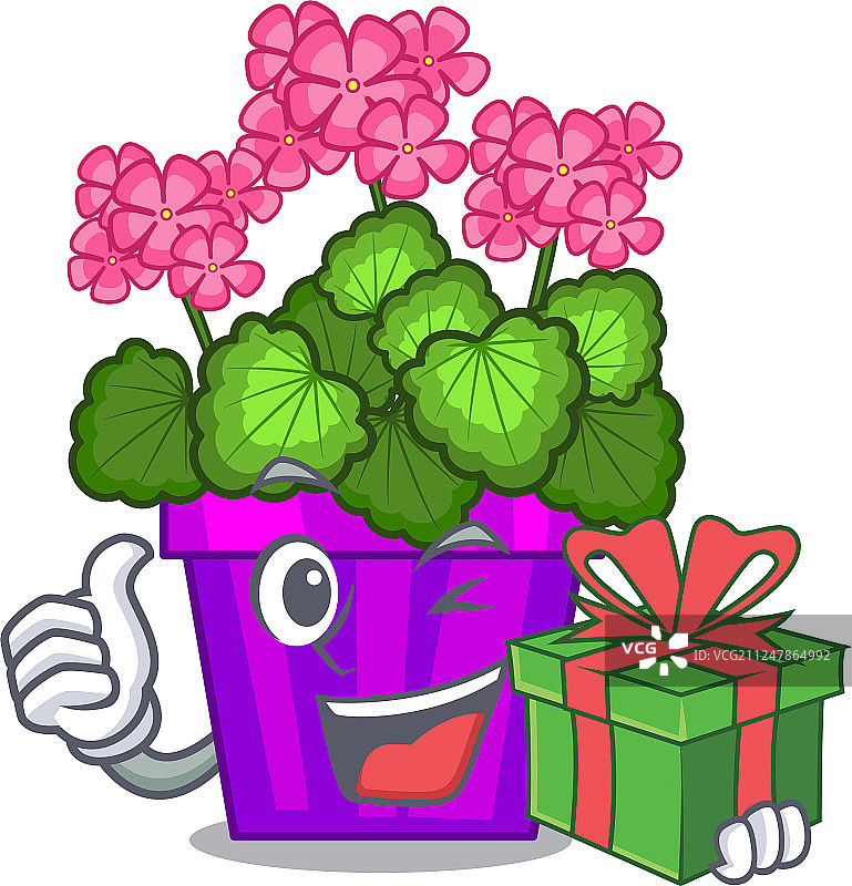 卡通花盆中的天竺葵花朵礼物图片素材