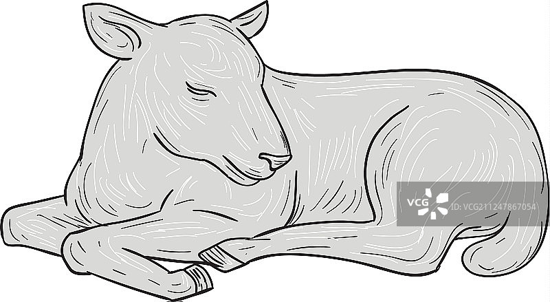 睡着的绵羊绘画图片素材