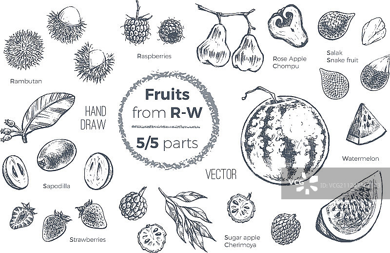 手绘水果素描图标 有机食品图片素材