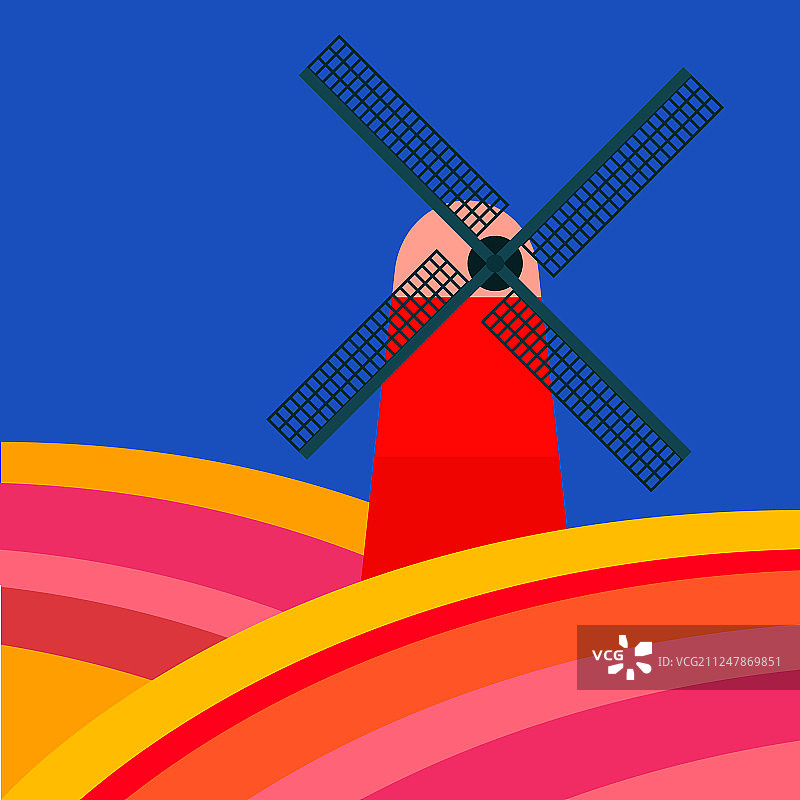 蓝色背景下的磨坊和郁金香花田图片素材