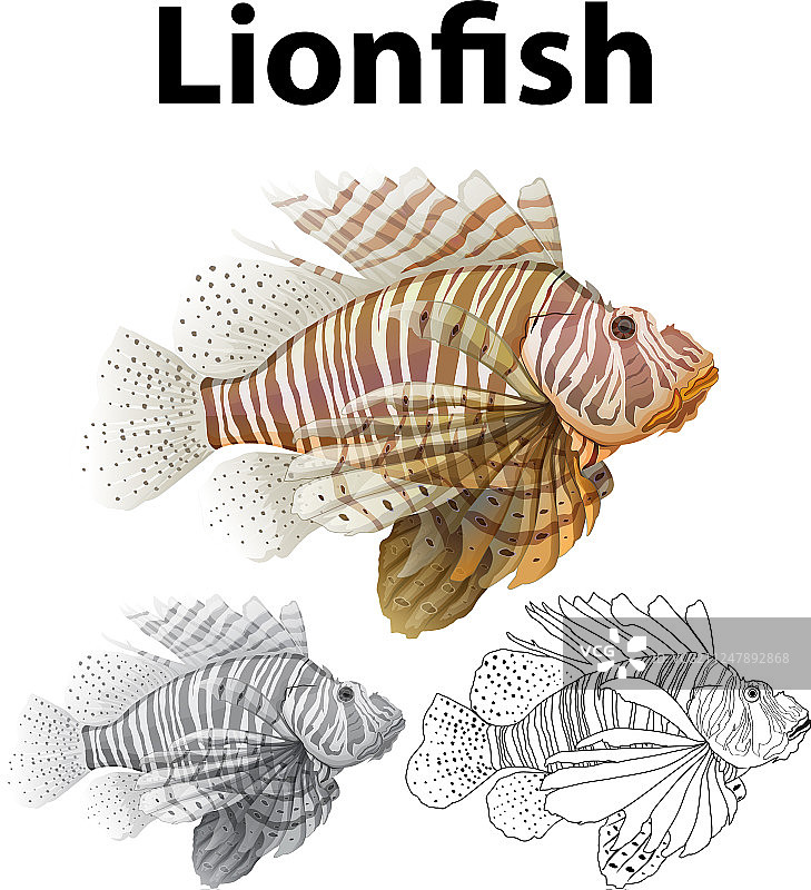 狮子鱼涂鸦角色图片素材