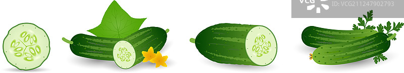 卡通风格黄瓜集合图片素材