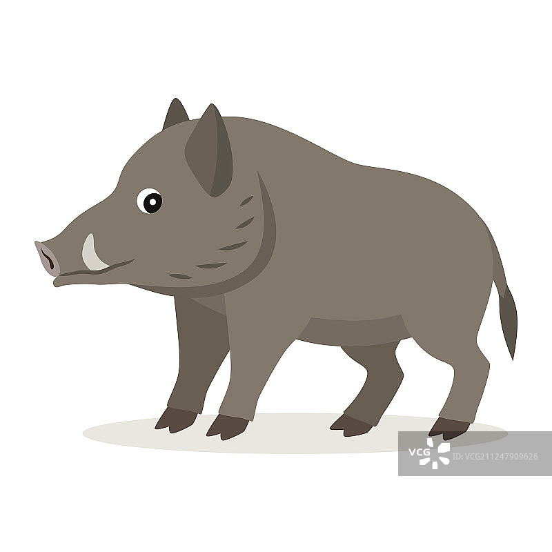 可爱的森林动物灰色野猪图标图片素材