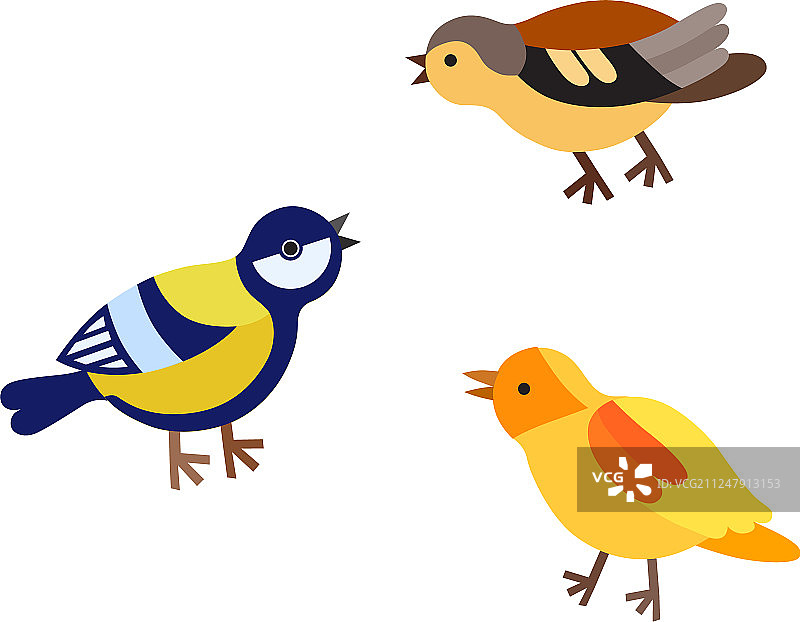 鸟类图案图片素材