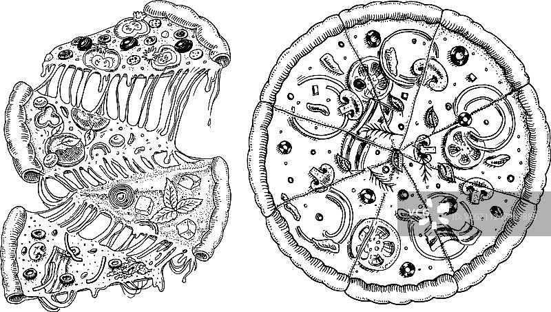 美味意式素食披萨组合图片素材
