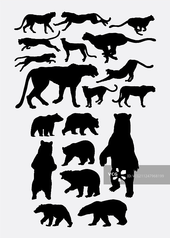 熊和猎豹轮廓图片素材