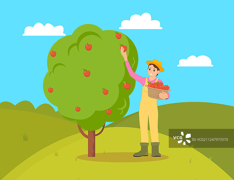采摘苹果的女农民图片素材