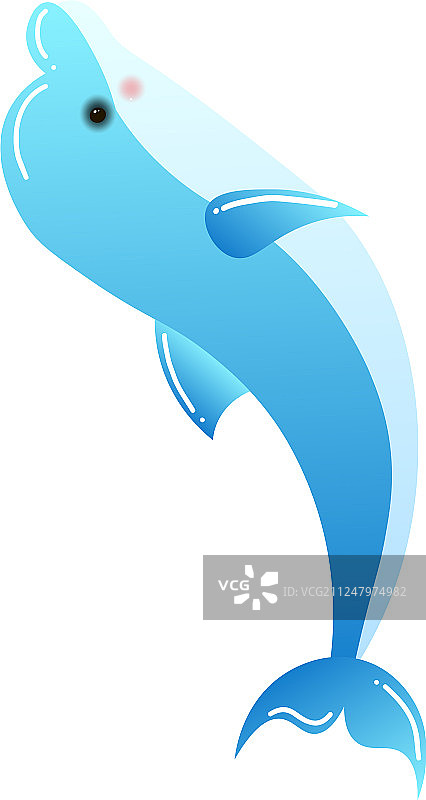 瓶鼻海豚表演技巧图片素材