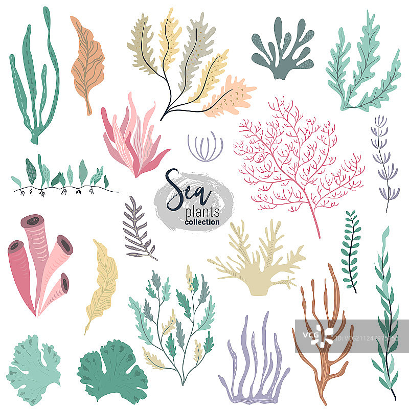 彩色水下海洋合集图片素材