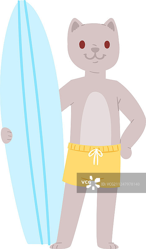 冲浪猫动物角色图片素材