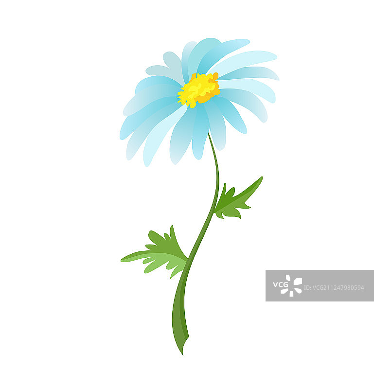 白色甘菊花无缝图案图片素材