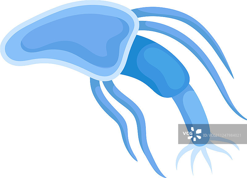 长身蓝色浮游生物图片素材