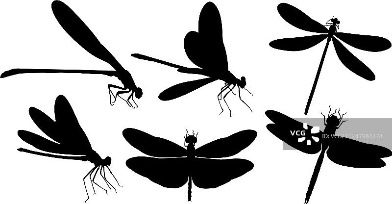 蜻蜓群剪影图片素材