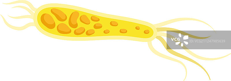 白色背景细黄色浮游生物图片素材