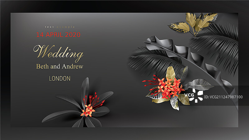 热带黑色和金色的叶子在黑暗的背景图片素材