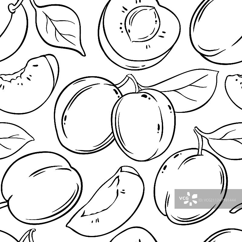 白色背景上的李子水果图案图片素材