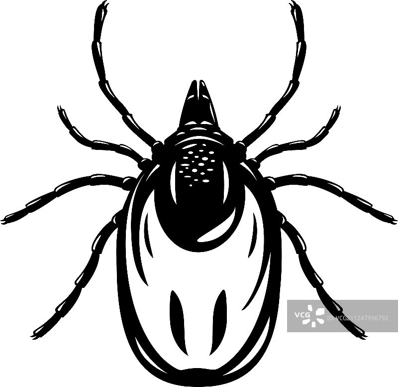 黑白螨虫隔离图图片素材