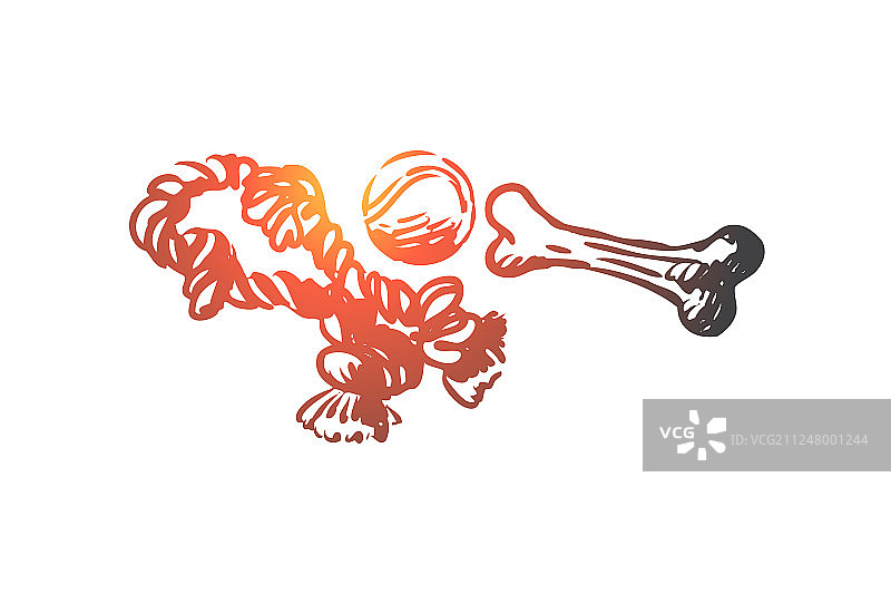 宠物玩具：动物骨头护理球概念图图片素材