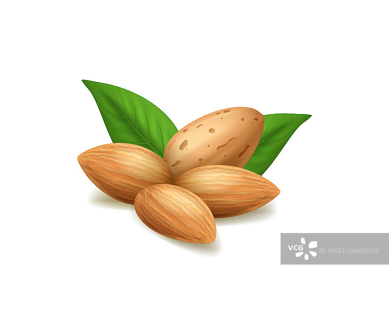 逼真3D杏仁坚果和绿叶图片素材
