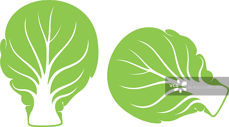 球芽甘蓝图片素材