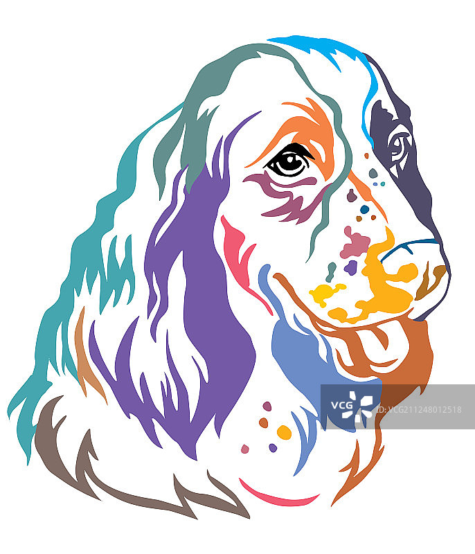 英国斗牛犬彩色装饰肖像图片素材