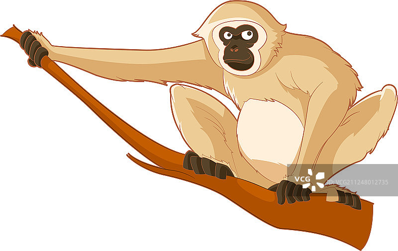 卡通微笑长臂猿图片素材