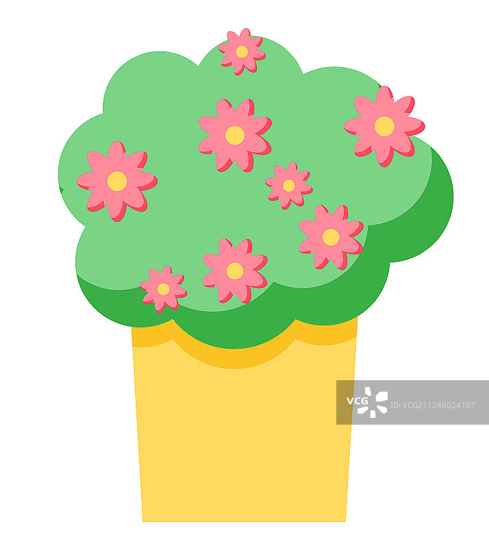 盆栽曼德维拉花卉装饰图片素材