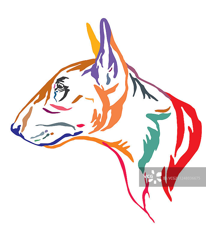 彩色装饰性牛头梗犬画像图片素材
