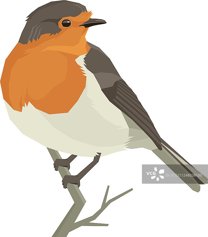 几何知更鸟独立物体图片素材