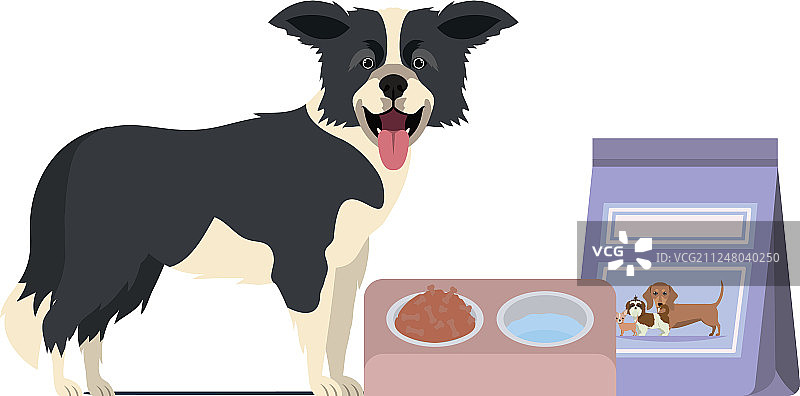 白色背景上的狗、碗和宠物食品图片素材