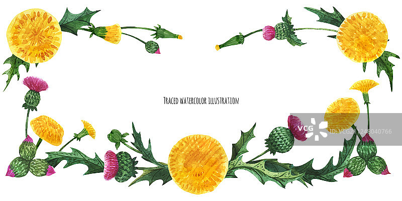 蓟和蒲公英头像banner图片素材