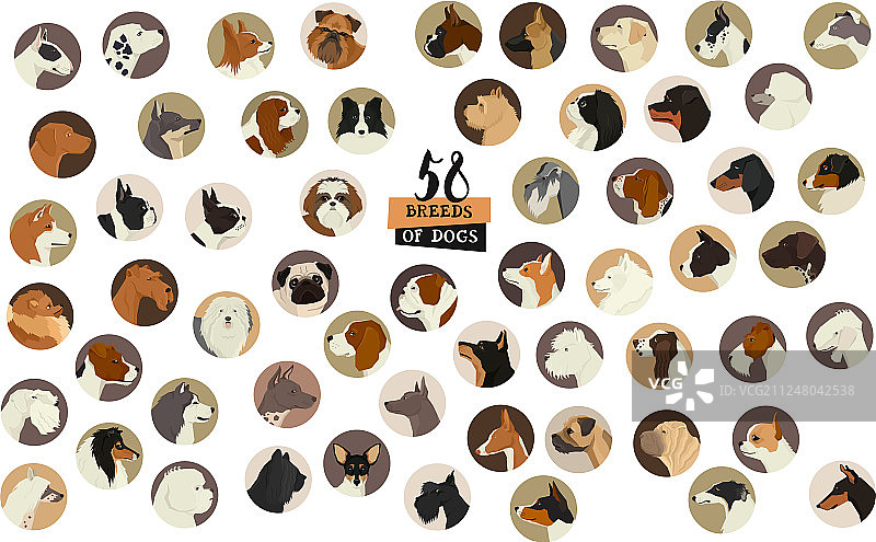 58种狗的品种圆形边框图片素材