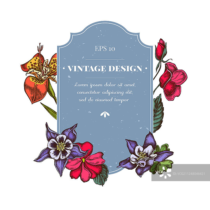 彩色凤仙花徽章设计图片素材