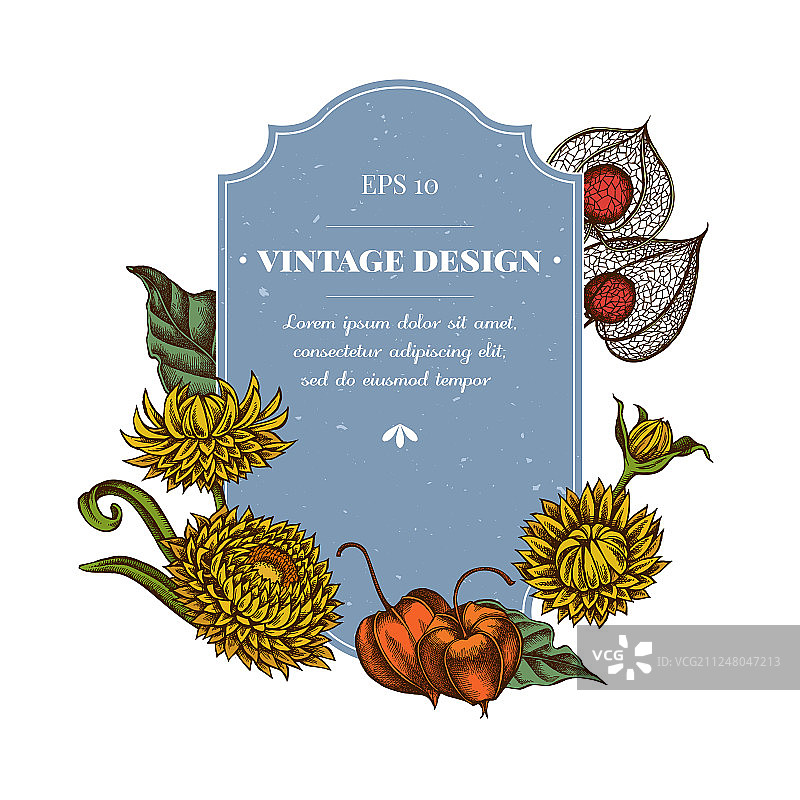 彩色香芹籽徽章设计图片素材