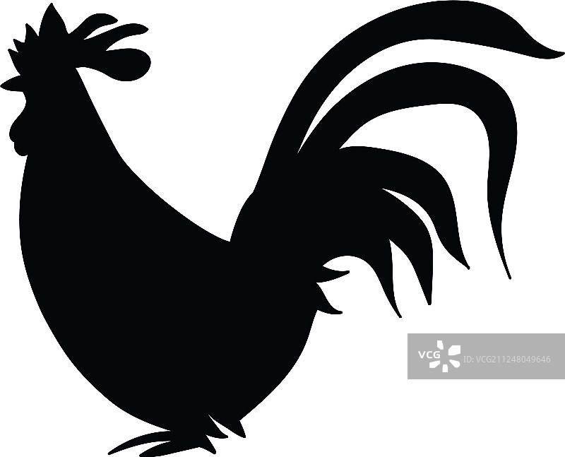 白色背景上的独立公鸡图片素材