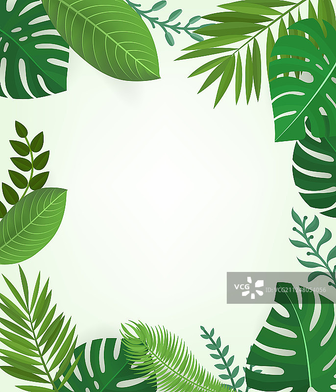 热带风格花卉背景季节边框图片素材