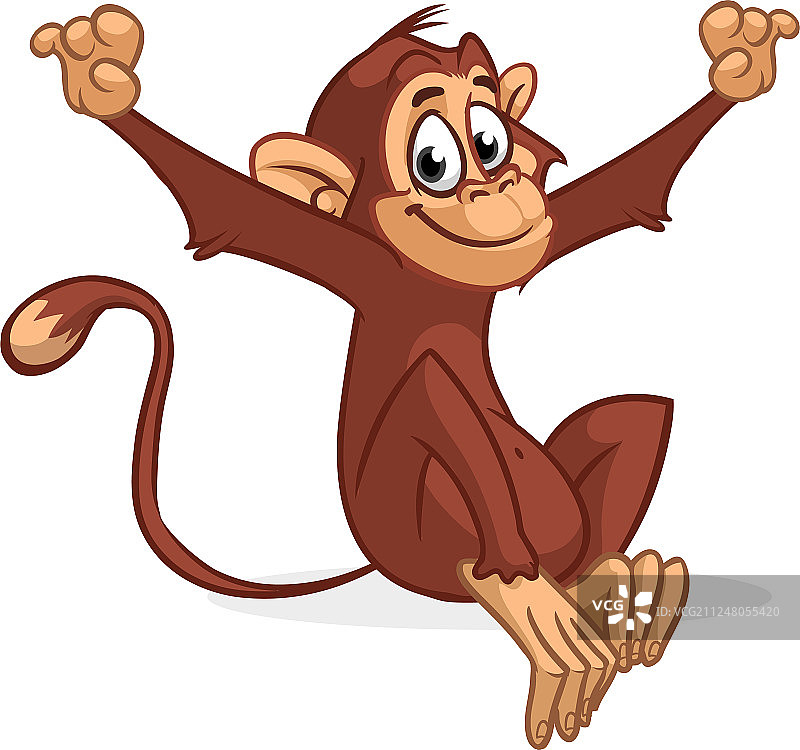 有趣的猴子图片素材