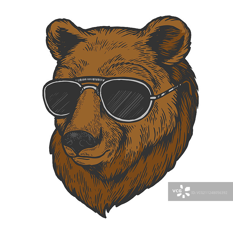 戴太阳镜的熊动物彩色素描雕刻图片素材